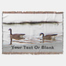 Suche nach kanada decken Gänse