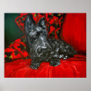 Suche nach scotty hund poster Scottie