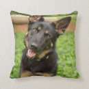 Suche nach hirten kissen Hund