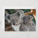 Suche nach tierfamilie karten Jungtier