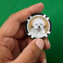 Suche nach welpen poker chips Hund