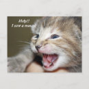 Suche nach hilfe postkarten Katze