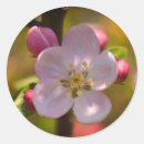 Suche nach frühling aufkleber Blumig