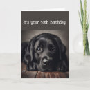 Suche nach labrador geburtstag karten Schwarz