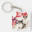 Suche nach chihuahua accessoires Blume