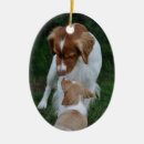 Suche nach bretagne ornamente Hund