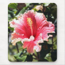 Suche nach pfirsichfarben mousepads Rosa