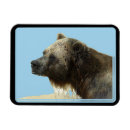 Suche nach grizzly magnete Tierwelt