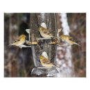 Suche nach pics poster Fotos