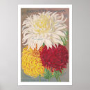 Suche nach chrysantheme poster Botanisch