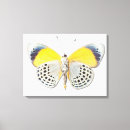 Suche nach schmetterling poster leinwandbilder Girly