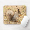 Suche nach eichhörnchen mousepads Fotografie