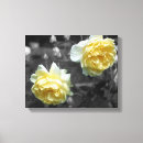 Suche nach farbiges ros kunst Natur