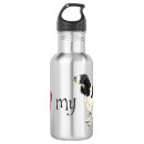 Suche nach englischer springer spaniel Sprungbrett