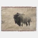 Suche nach rinder decken Stier