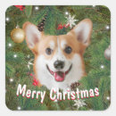 Suche nach corgi aufkleber Weihnachten