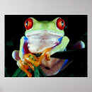 Suche nach niedlicher frosch poster Tier