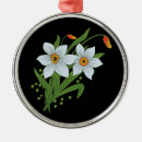 Suche nach narzisse ornamente Daffodil