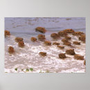 Suche nach venezuela poster South america