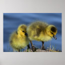 Suche nach frühling poster Quelle