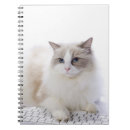 Suche nach katzenartig kleine notizbücher Niedliche katzen