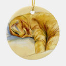 Suche nach gestreifte katze ornamente Katzen