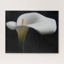 Suche nach calla puzzle Pflanze