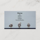 Suche nach seemöwe visitenkarten Geschäft