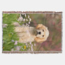 Suche nach golden retriever decken Retriefe