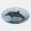 Suche nach delphine aufkleber Nautisch