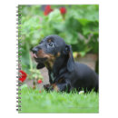 Suche nach haarig kleine notizbücher Blumen