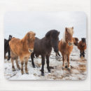 Suche nach isländisches pferd mousepads Bauernhof