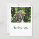 Suche nach helder postkarten Vogelvogel