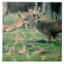 Suche nach mit rotwild fliesen Natur