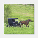 Suche nach buggy magnete Amisch