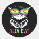 Suche nach gay pride flag aufkleber Verbündete