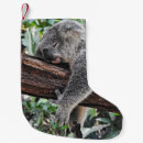 Suche nach koala für weihnachts strümpfe Bär