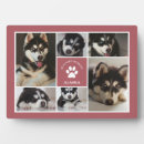 Suche nach pfosten fotoplatten Pfoten