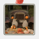 Suche nach orange frucht ornamente Frisch