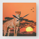 Suche nach geparde wanduhren Afrika