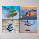 Suche nach stallion poster Ch 53