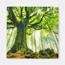 Suche nach baumstämme magnete Wälder