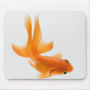 Suche nach goldfisch mousepads Tier