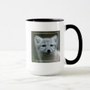 Suche nach arktisch tassen Natur