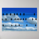Suche nach vögel auf einem draht poster Silhouette