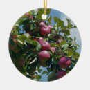 Suche nach rote äpfel ornamente Frucht