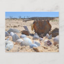 Suche nach krabben postkarten Sandsand