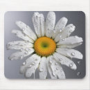 Suche nach regentropfen mousepads Blume