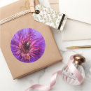 Suche nach clematis aufkleber Pflanze