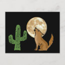 Suche nach kojote postkarten Wüste